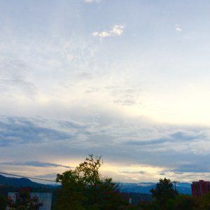 Meet your Posher, Annette